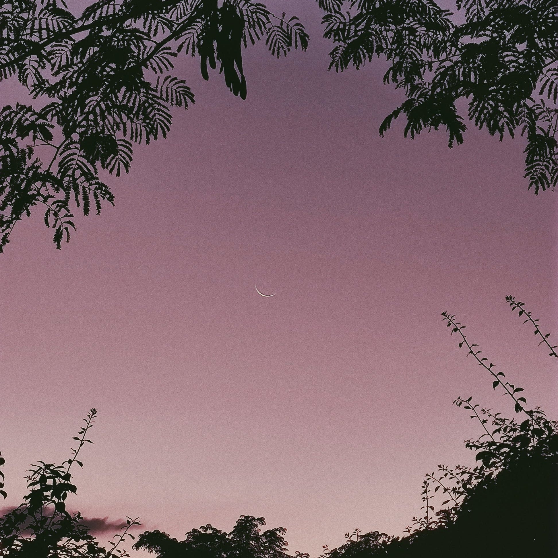The Spiritual Meaning of November's New Moon
