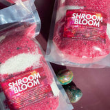 Shroom Bloom